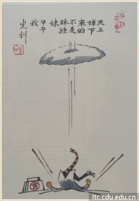 天上掉下来的不是林妹妹