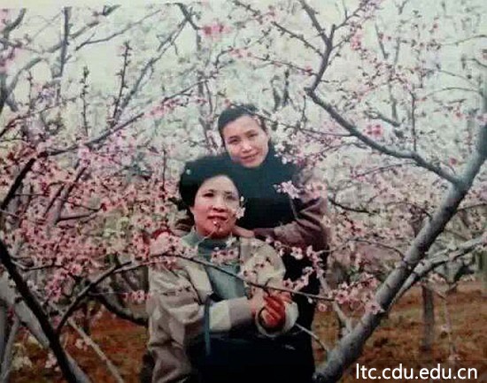 QQ图片20150323164659.jpg